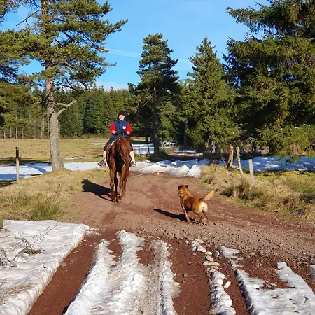 Дом отдыха Maison Ferme Equestre Du Tenere *