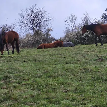 Maison Ferme Equestre Du Tenere * Saint-Jean-Lachalm