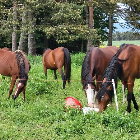 Maison Ferme Equestre Du Tenere בית נופש